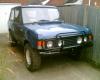 Bobtail Rangy